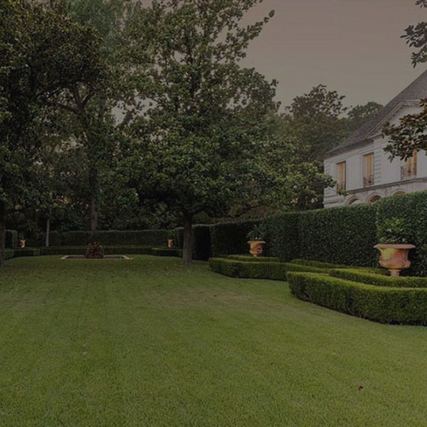 ee70e3_ddf16b7262684d2cbaf1cc0360dcae8e_overlay