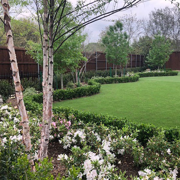 lawn8